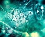 Cell-by-cell analysis reveals brain changes in Tourette syndrome