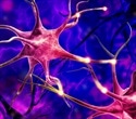 Breakthrough study identifies potential treatment for schizophrenia symptoms