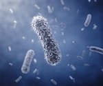 DTU researchers discover gut bacteria link to reduced allergy and asthma risk