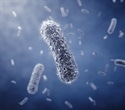 "Super-probiotic" bacteria created through ribosomal engineering