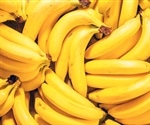 Banana lectin discovery may lead to potential new treatments for preventing sexual transmission of HIV