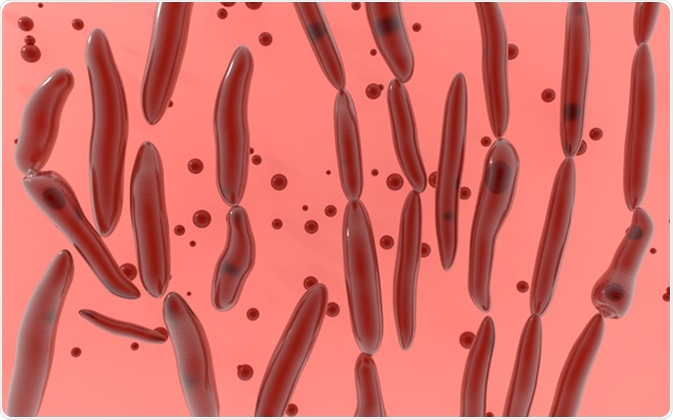Clostridium botulinum bacterium 3d illustration. Image Credit: MZinchenko / Shutterstock