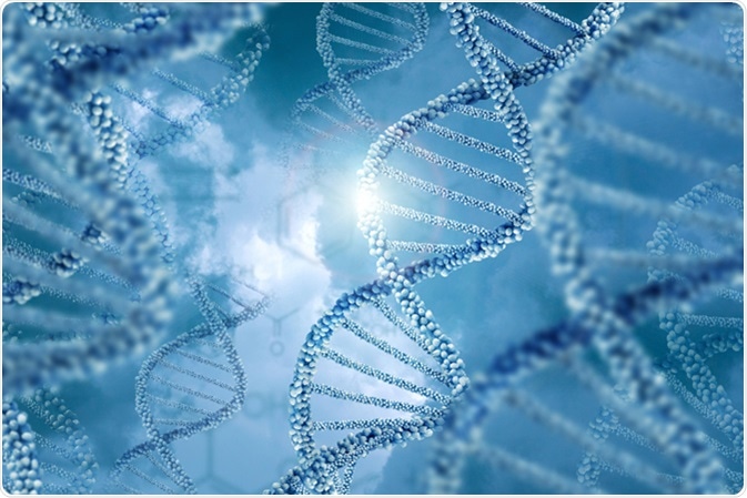 Image Credit: Natali_ Mis / Shutterstock