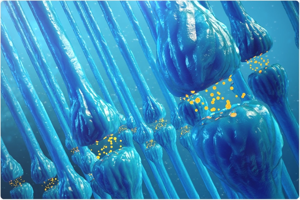 Synapses in the brain of an Alzheimer