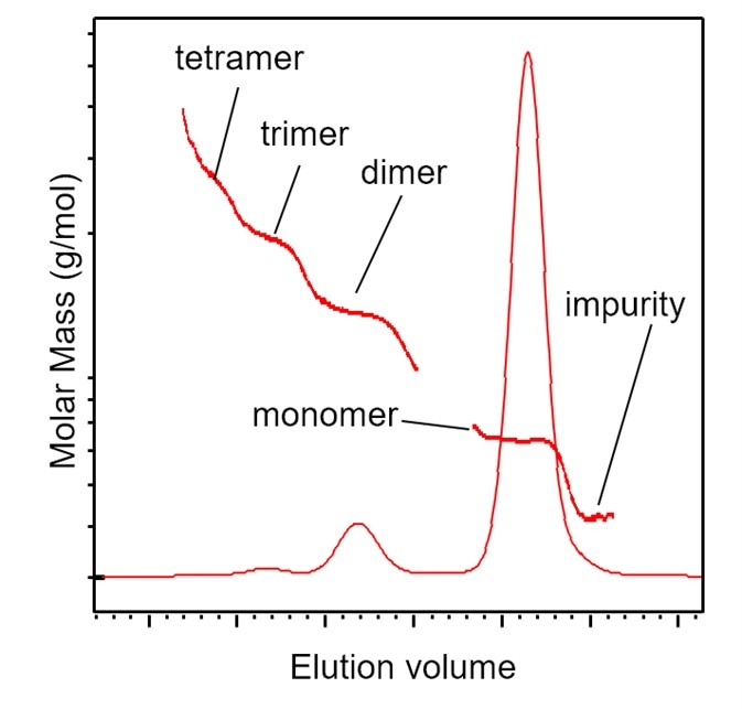 SEC-MALS identification of aggregates and impurities