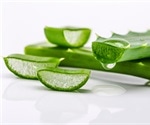Health Benefits and Dangers of Aloe Vera