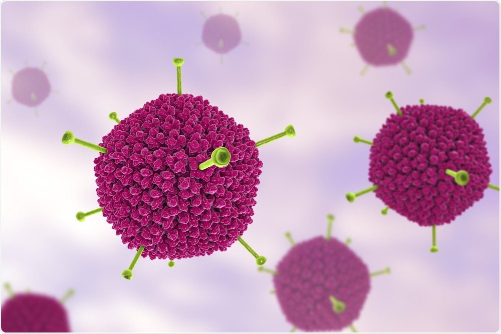 Adenovirus