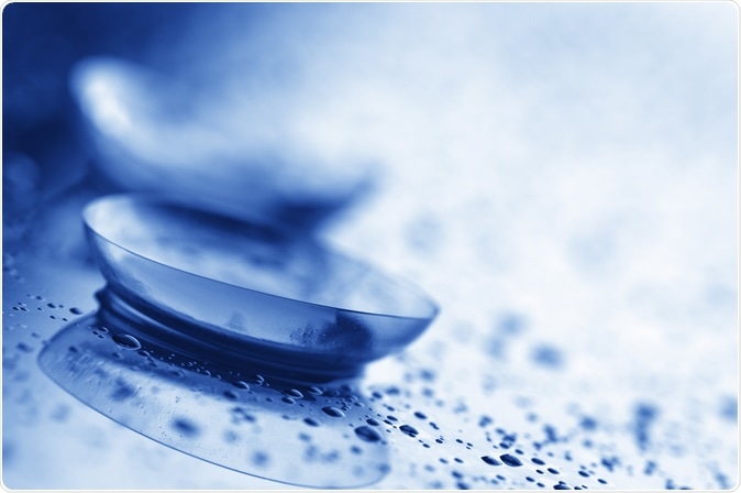 Image Credit: Svetlana Lukienko / Shutterstock