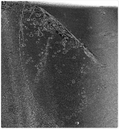 Tomogram of graphene oxide sheet incubated with lipids.
