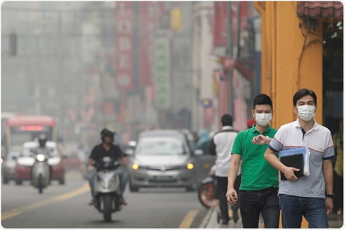 Image Credit: Aizuddin Saad / Shutterstock