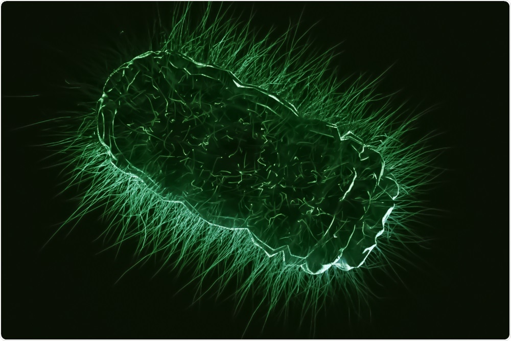 Bacteria in the arctic