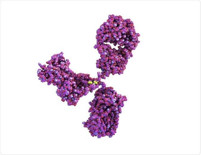Illustration of an antibody - ball and stick representation - by Kateryna Kon