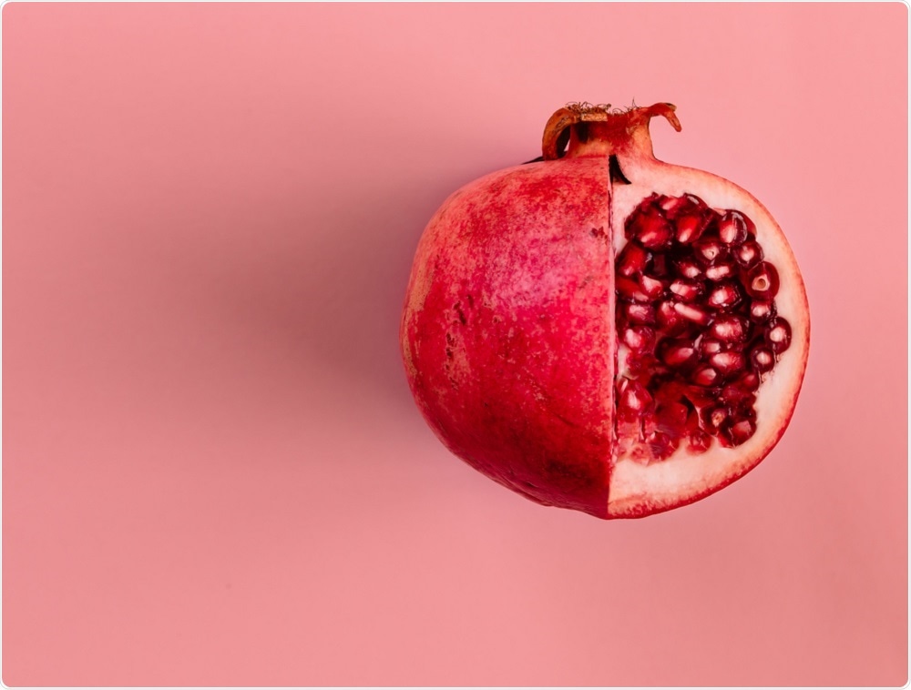 Photo of a pomegranate - by Zamurovic Photography