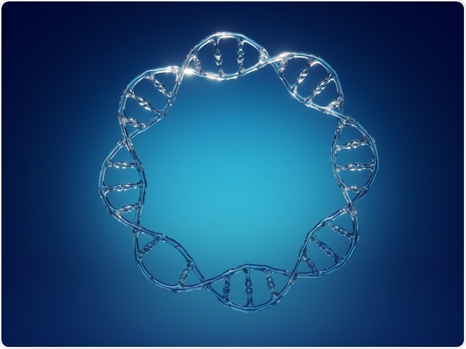 Circular DNA acting as vector containing target sequence for cloning - By wacomka