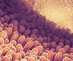 Gut immune cells could be responsible for metabolism changes finds study