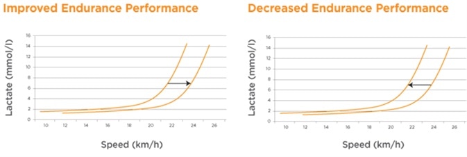Lactate Testing in Athletes