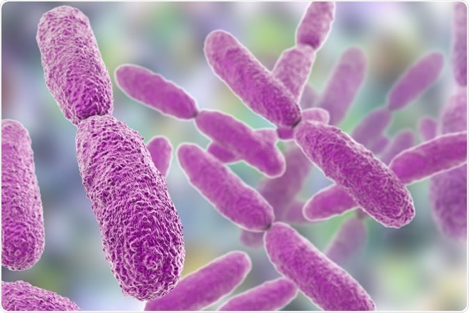 Bacteria Klebsiella, 3D illustration Credit: Kateryna Kon / Shutterstock