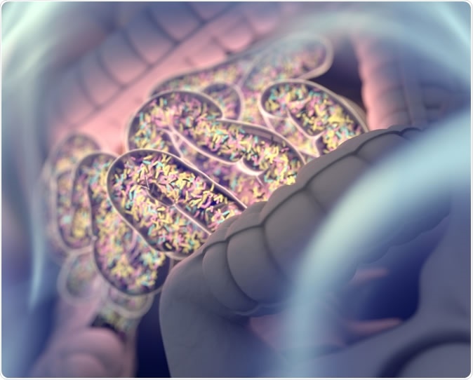 Gut bacteria, gut flora, microbiome 3D illustration. Image Credit: Anatomy Insider / Shutterstock