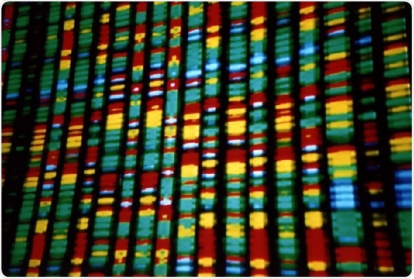 Human genetics evidence predictive of drug development success, study shows