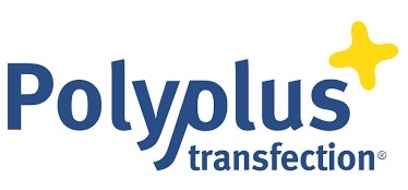 Polyplus-transfection
