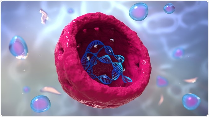 Cell showing chromatin in nucleus