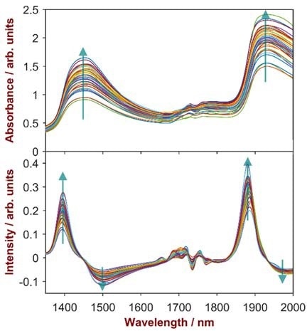 The raw spectra (upper trace) were pre-treated using a Detrend function with a subsequent 1st derivative (lower trace). The arrows indicate the trend to higher water concentration.