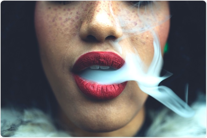 Image Credit: Oneinchpunch / Shutterstock