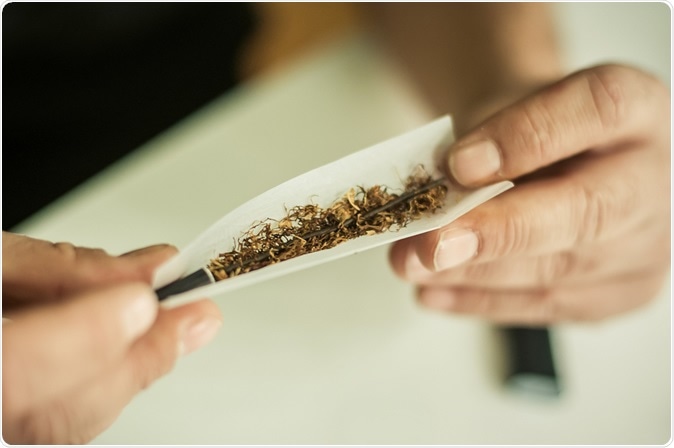 Image Credit: GuruXOX / Shutterstock