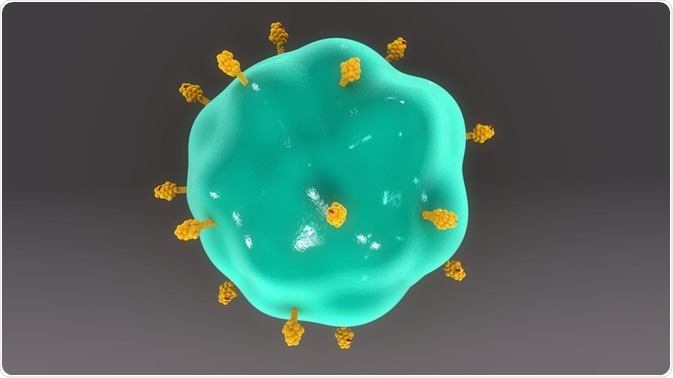 Flow cytometry can be used to cross-match human leukocyte antigens on the surface of APCs before a transplant