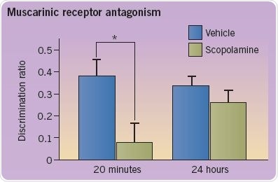 Pharmacological Intervention