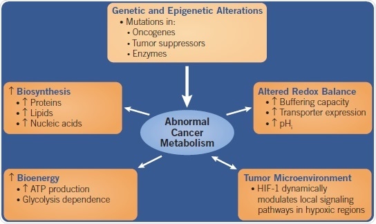 A flow chart showing the causes and effects of Abnormal Cancer Metabolism.
