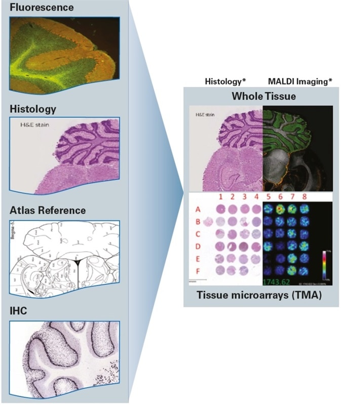 Add Molecular Specificity to Other Imaging Techniques