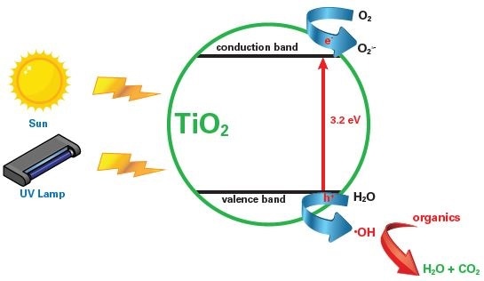 Scheme of photocatalysis (taken from Ref. (5)).