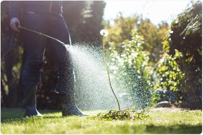 The damaging effects of glyphosate-containing herbicides on humans, animals and the environment have been widely studied for several decades.