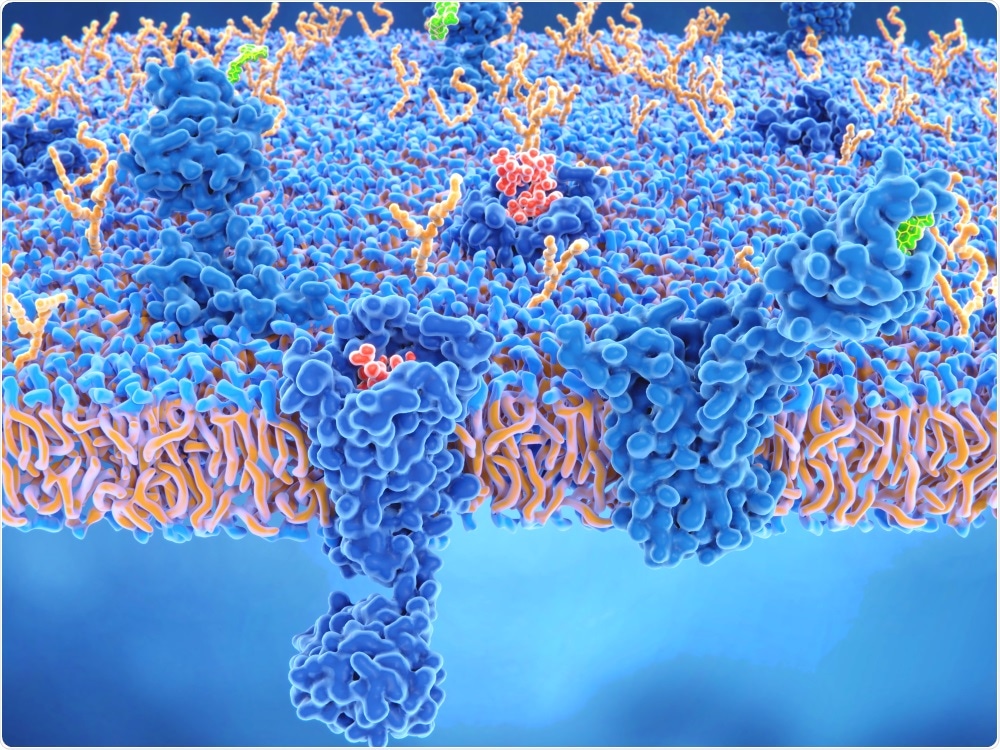 A significant amount of research over the past 20 years has demonstrated that the endocannabinoid system plays a role in maintaining several important functions of the skin.