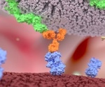 Recent advances in CAR-NK cell therapy could revolutionze cancer treatment