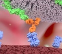Recent advances in CAR-NK cell therapy could revolutionze cancer treatment