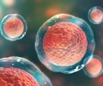 Advancing stem cell regeneration through animal-free culture systems
