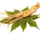 What is Ginseng?