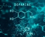 Chronic inflammation removes motivation by reducing dopamine in the brain