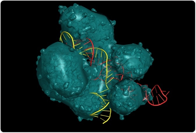 CRISPR-Cas9 system