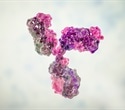 New antibody shows ability to overcome treatment resistance in blood cancers and solid tumors