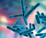 Can Probiotics Ever Be Harmful to Human Health?