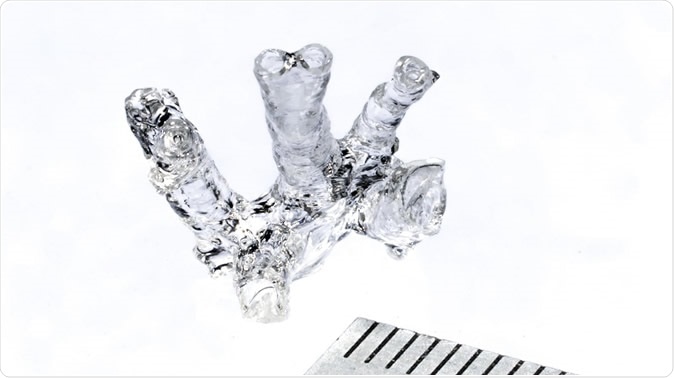 Hollow mouse pulmonary artery model © Alain Herzog / 2019 EPFL