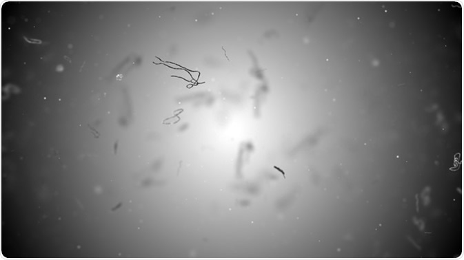 Ebola virus or germs microorganism cells under microscope. Illustration Credit: Alexey Godzenko / Shutterstock