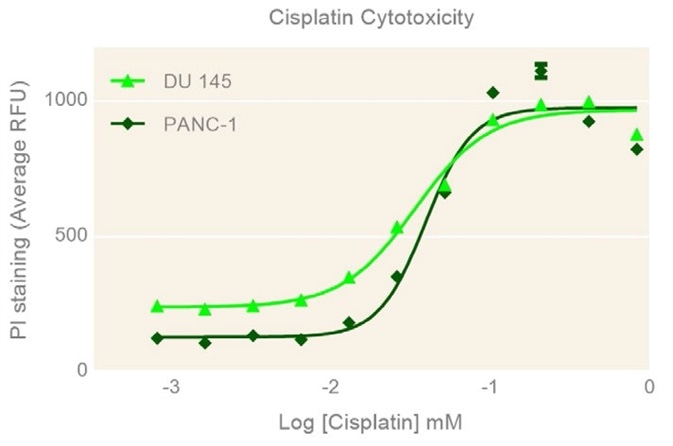 Concentration-dependent cisplatin cytotoxicity.