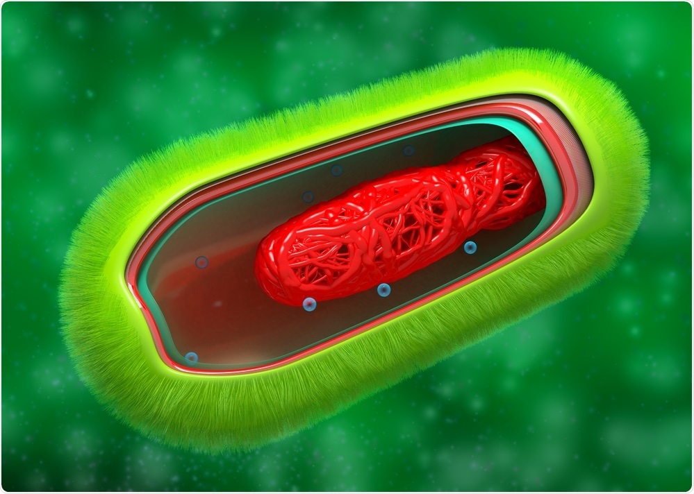 Bacterial cell