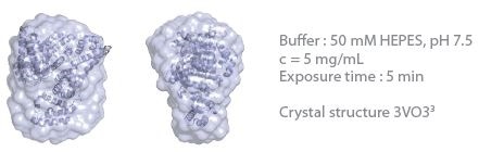 3D envelope from a BSA solution (Mw = 66 kDa).
