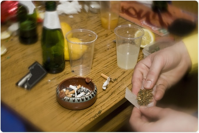 Image Credit: OSTILL is Franck Camhi / Shutterstock