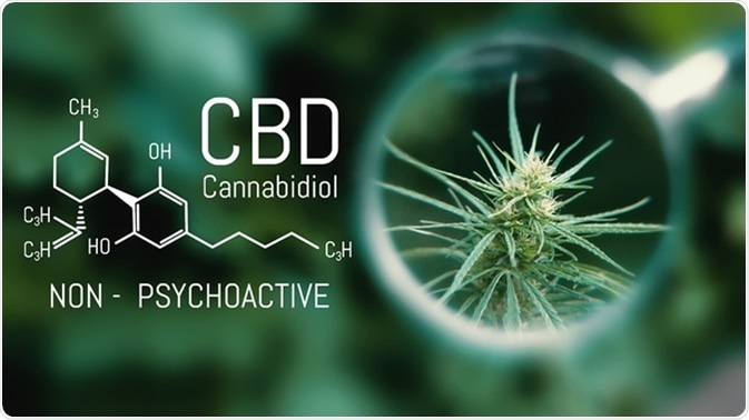 Image Credit PRO Stock Professional / Shutterstock